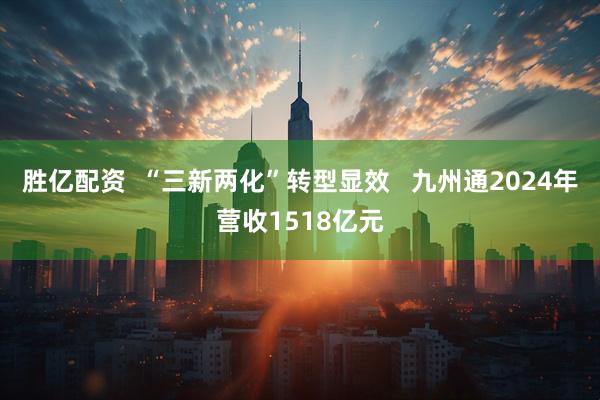 胜亿配资  “三新两化”转型显效   九州通2024年营收1518亿元