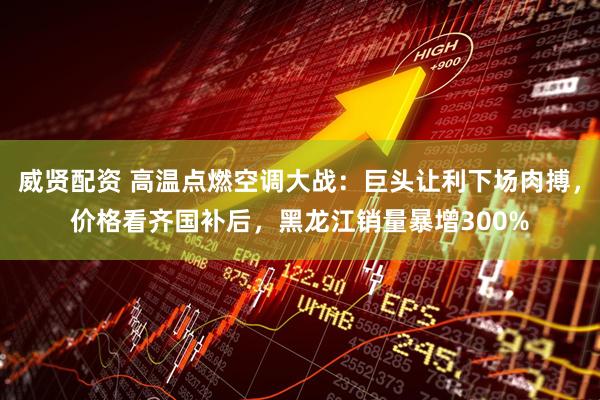 威贤配资 高温点燃空调大战：巨头让利下场肉搏，价格看齐国补后，黑龙江销量暴增300%