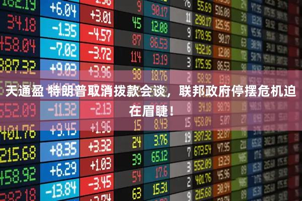 天通盈 特朗普取消拨款会谈，联邦政府停摆危机迫在眉睫！