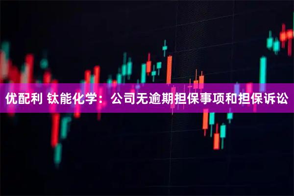 优配利 钛能化学：公司无逾期担保事项和担保诉讼