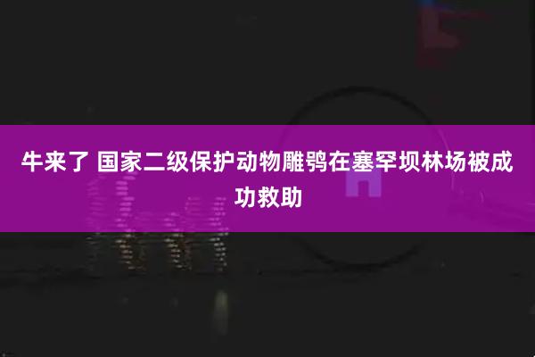 牛来了 国家二级保护动物雕鸮在塞罕坝林场被成功救助