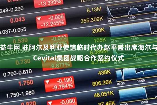 益牛网 驻阿尔及利亚使馆临时代办赵平盛出席海尔与Cevital集团战略合作签约仪式