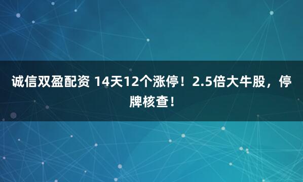 诚信双盈配资 14天12个涨停！2.5倍大牛股，停牌核查！