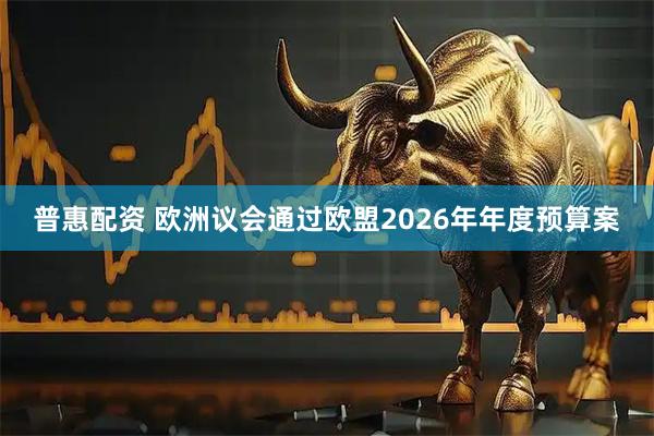 普惠配资 欧洲议会通过欧盟2026年年度预算案